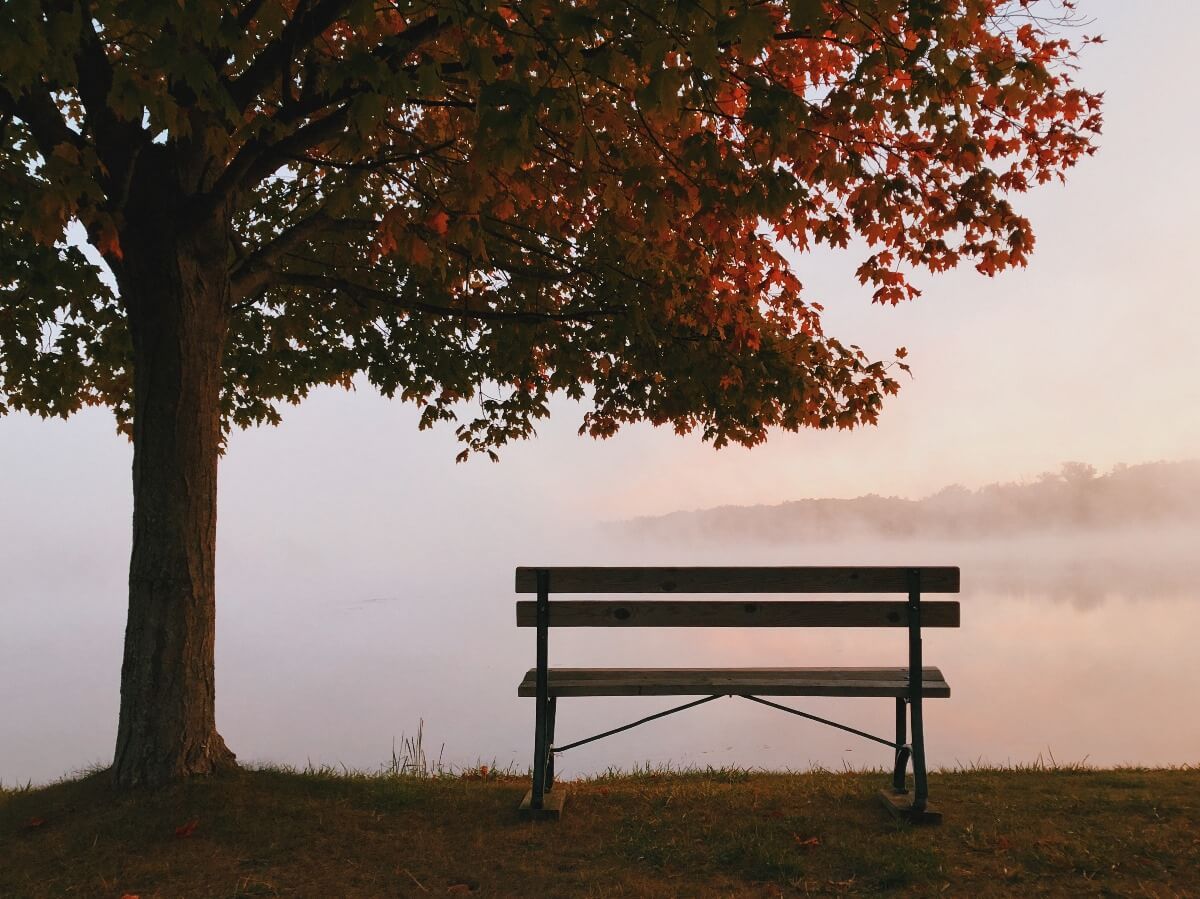 Matrimonio in autunno, consigli e suggerimenti perchè sia perfetto. Il Blog di Street Wedding Photography i professionisti della fotografia di strada